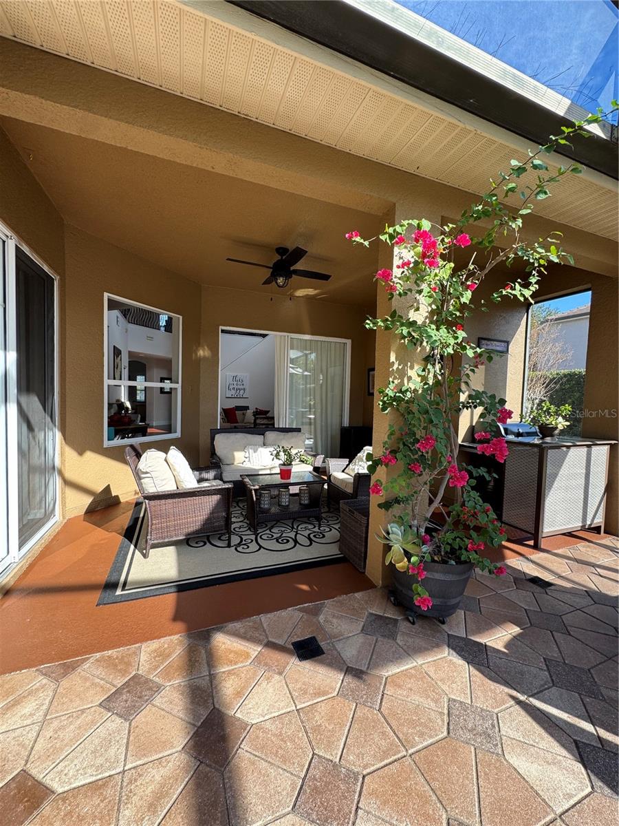 Image 64 of 83 For 1667 Shadowmoss Circle