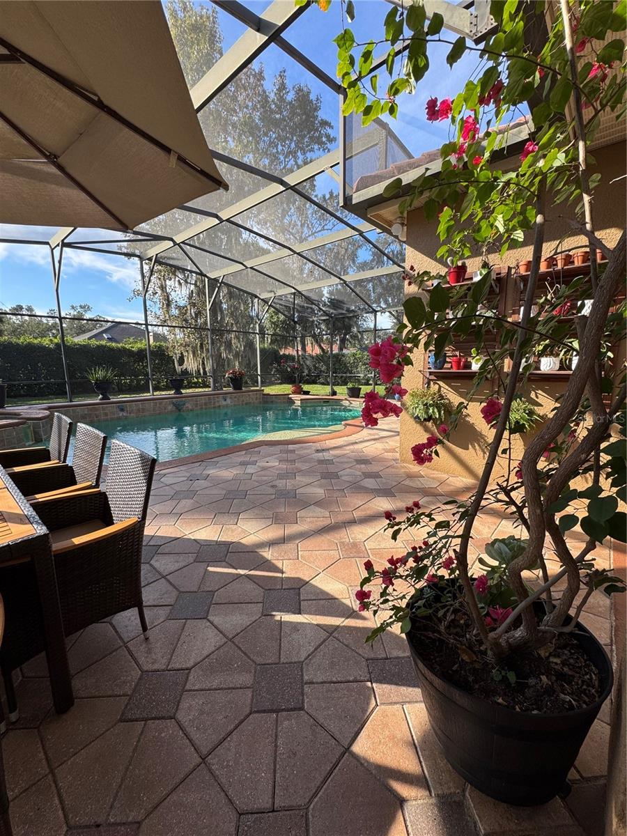 Image 76 of 83 For 1667 Shadowmoss Circle