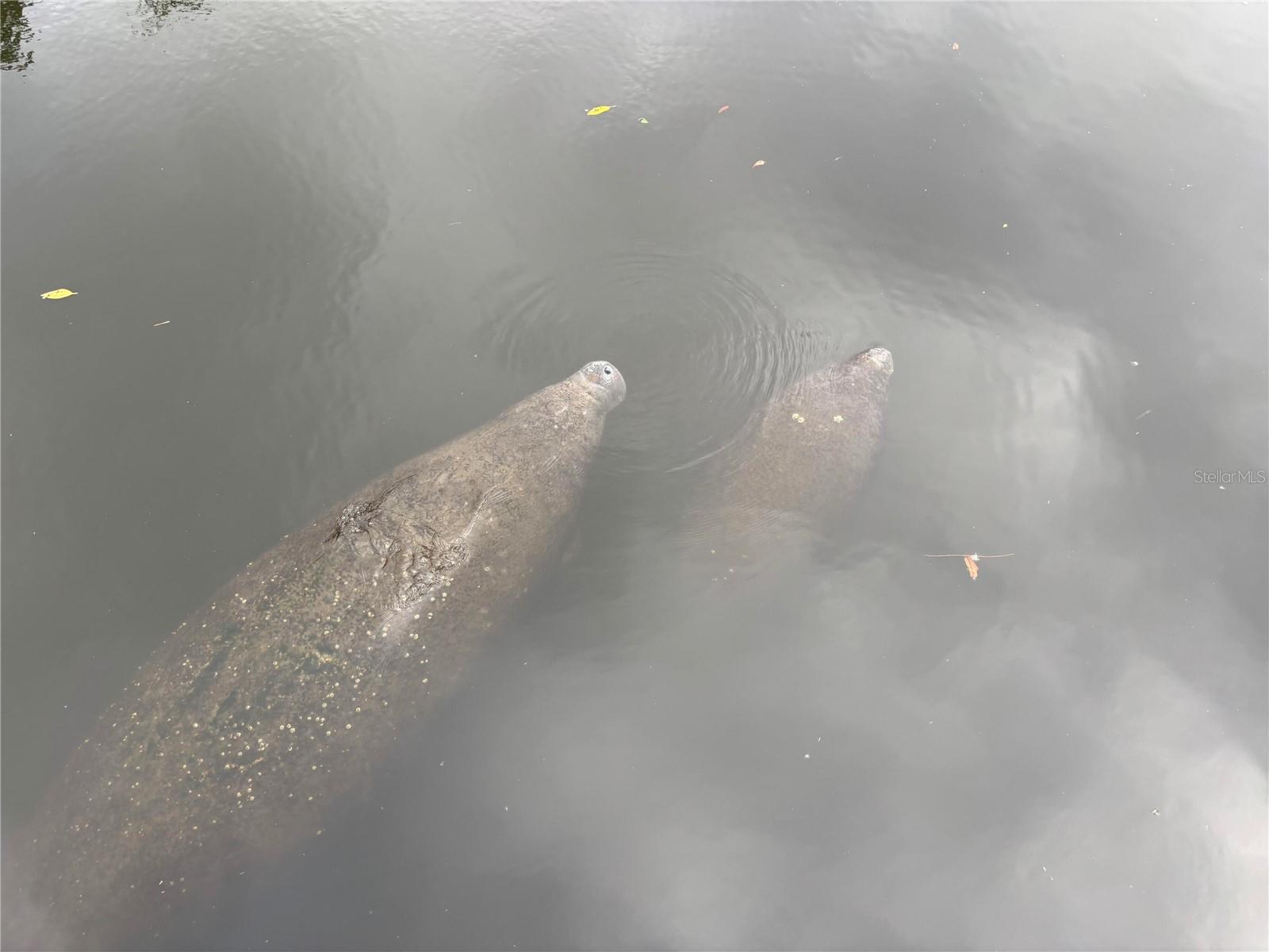 Image 39 of 39 For 805 30th Court E