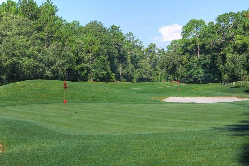 Image 37 of 54 For 168 Citrus Springs Boulevard