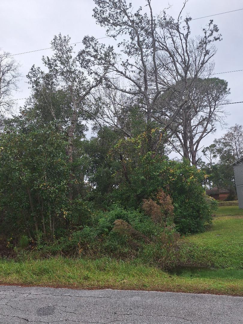 Details for 1580 2nd Avenue, DELAND, FL 32724