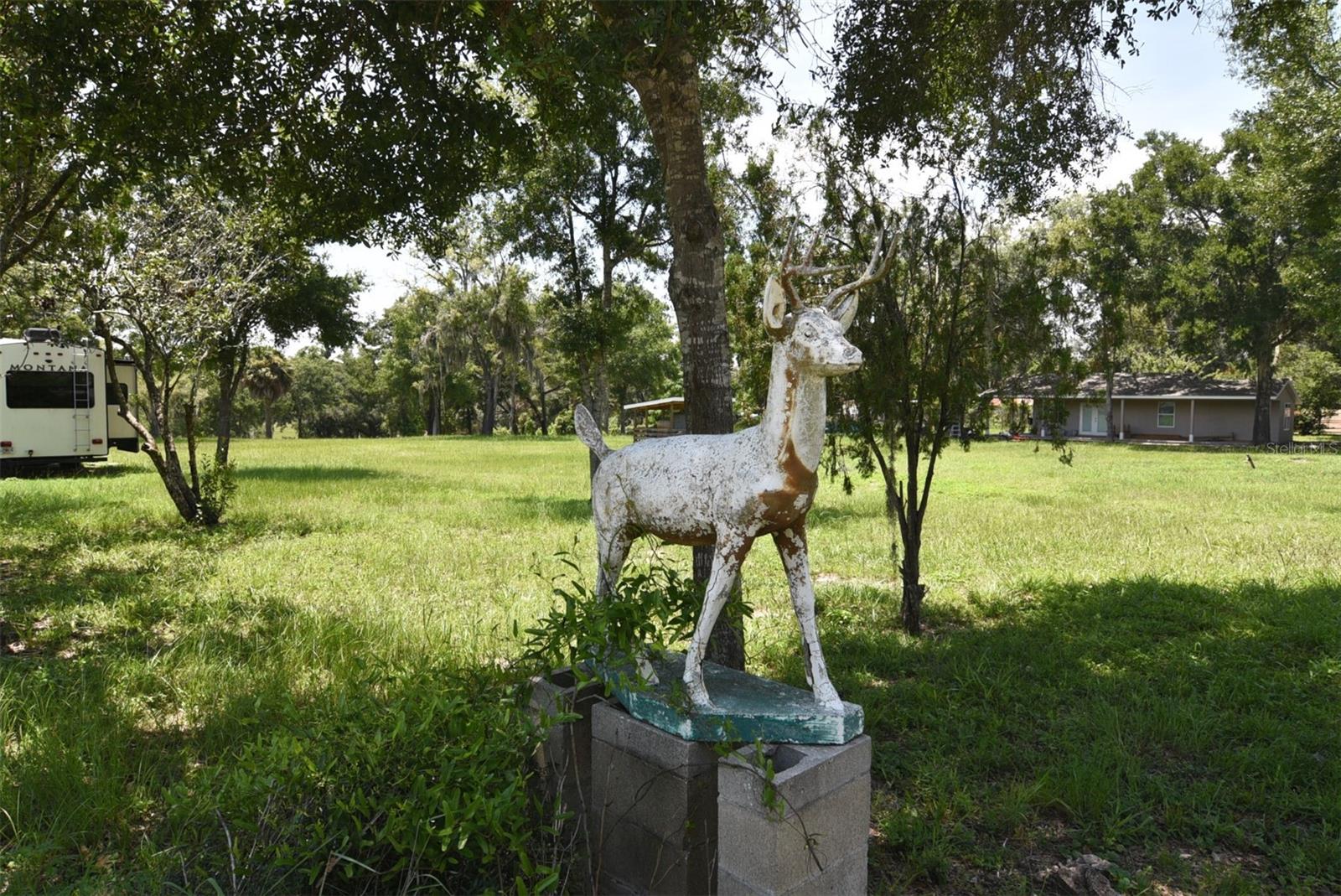 Image 2 of 26 For 3100 Poverty Lane