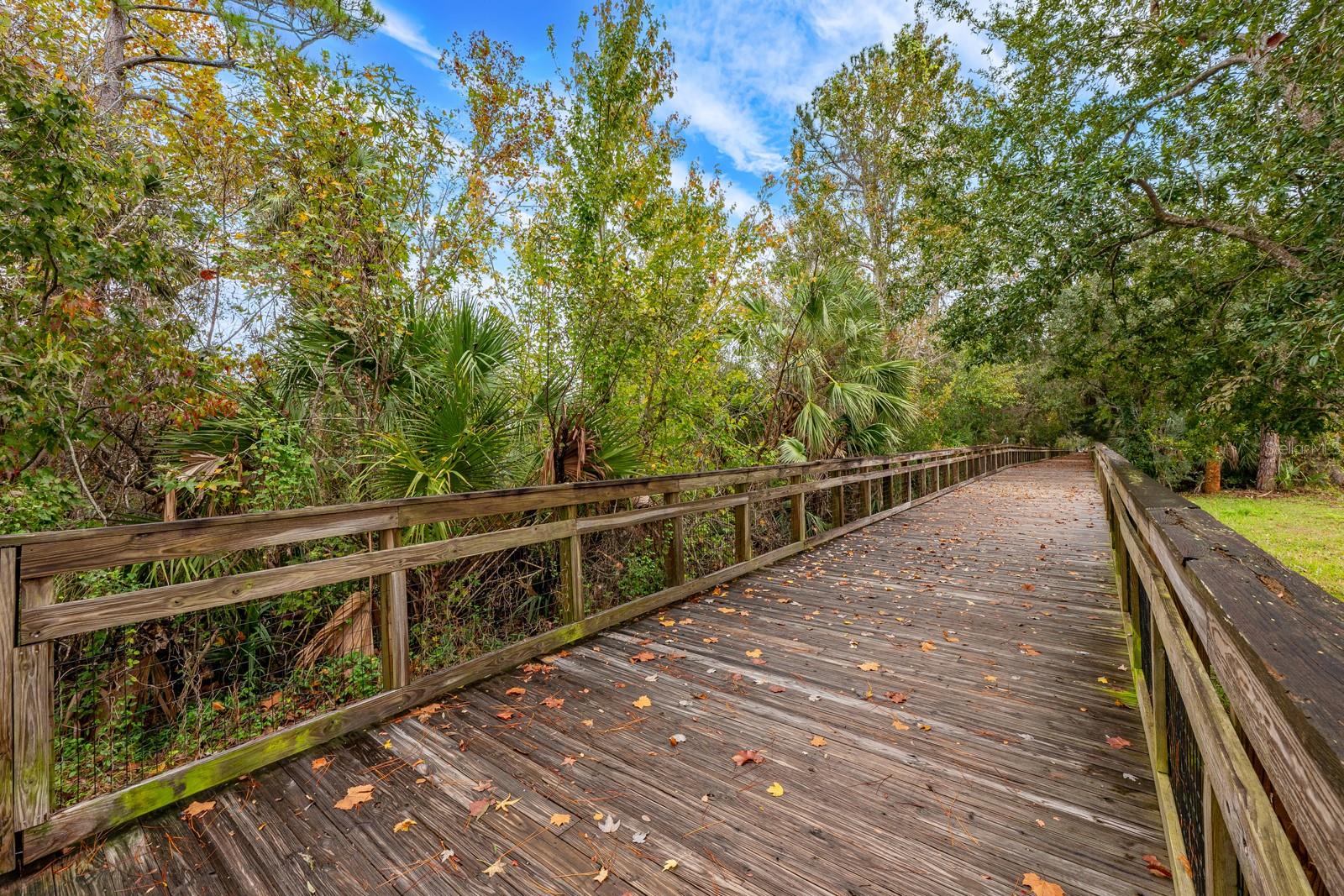 Image 20 of 23 For 140 Orchid Woods Court 11c