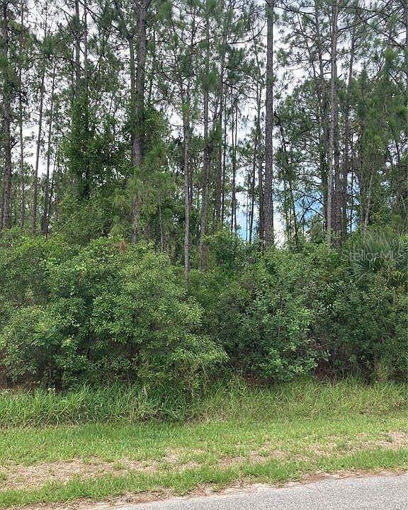 Listing Details for Bristol Avenue Lot 21, NORTH PORT, FL 34291