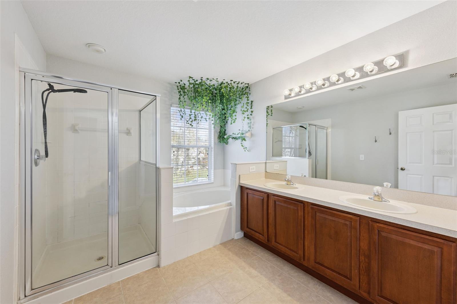 Image 12 of 19 For 14038 Evening Sky Place