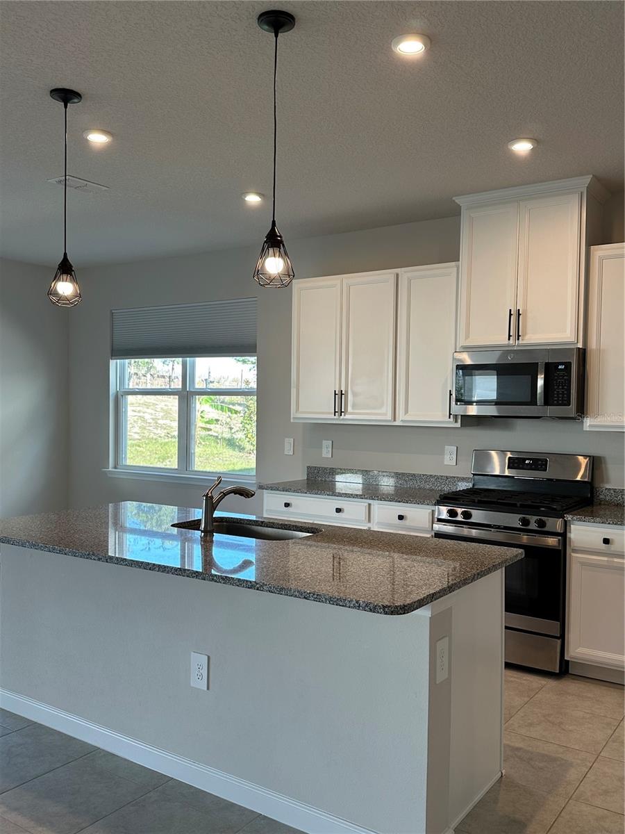 Image 7 of 98 For 3785 Blue Mountain Way