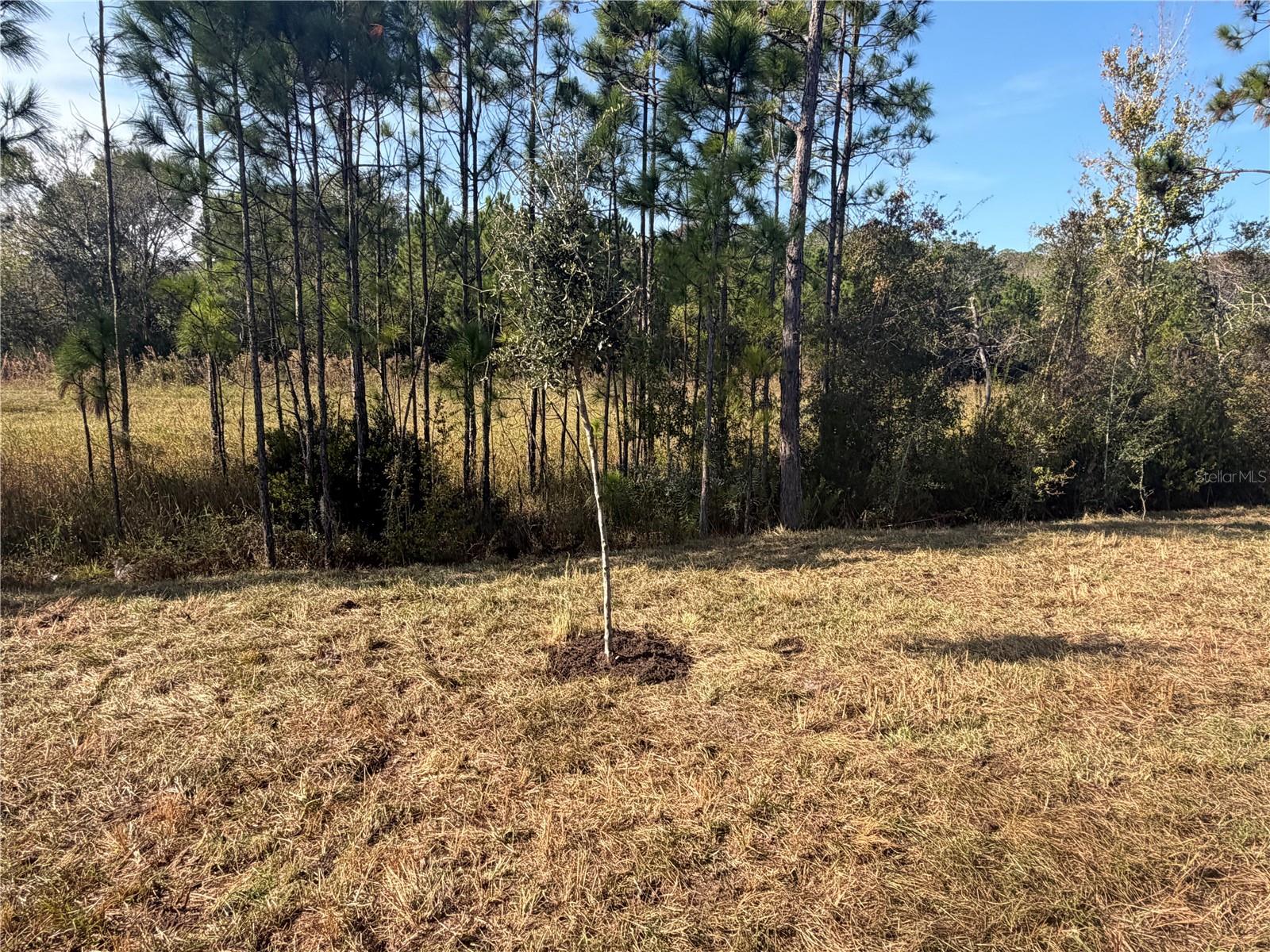 Image 11 of 14 For 7520 Bent Tree Loop