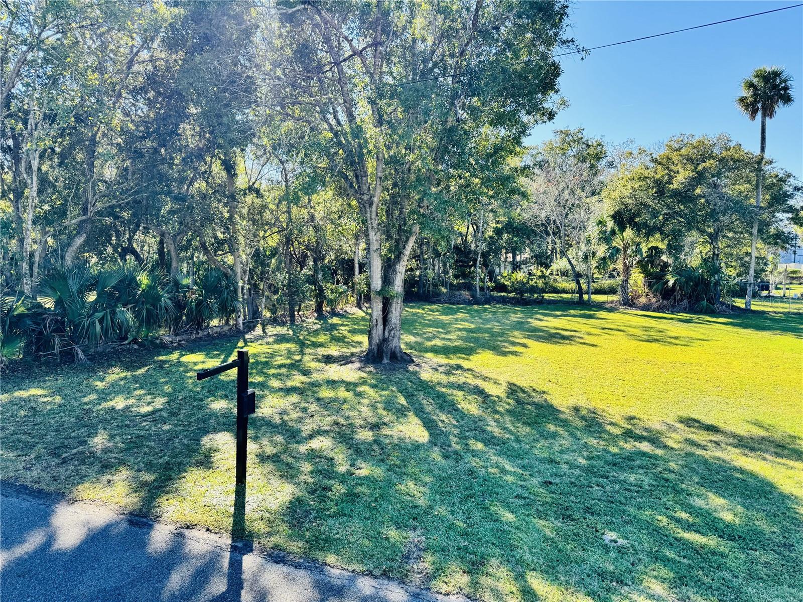 Image 4 of 14 For Whitehall Street