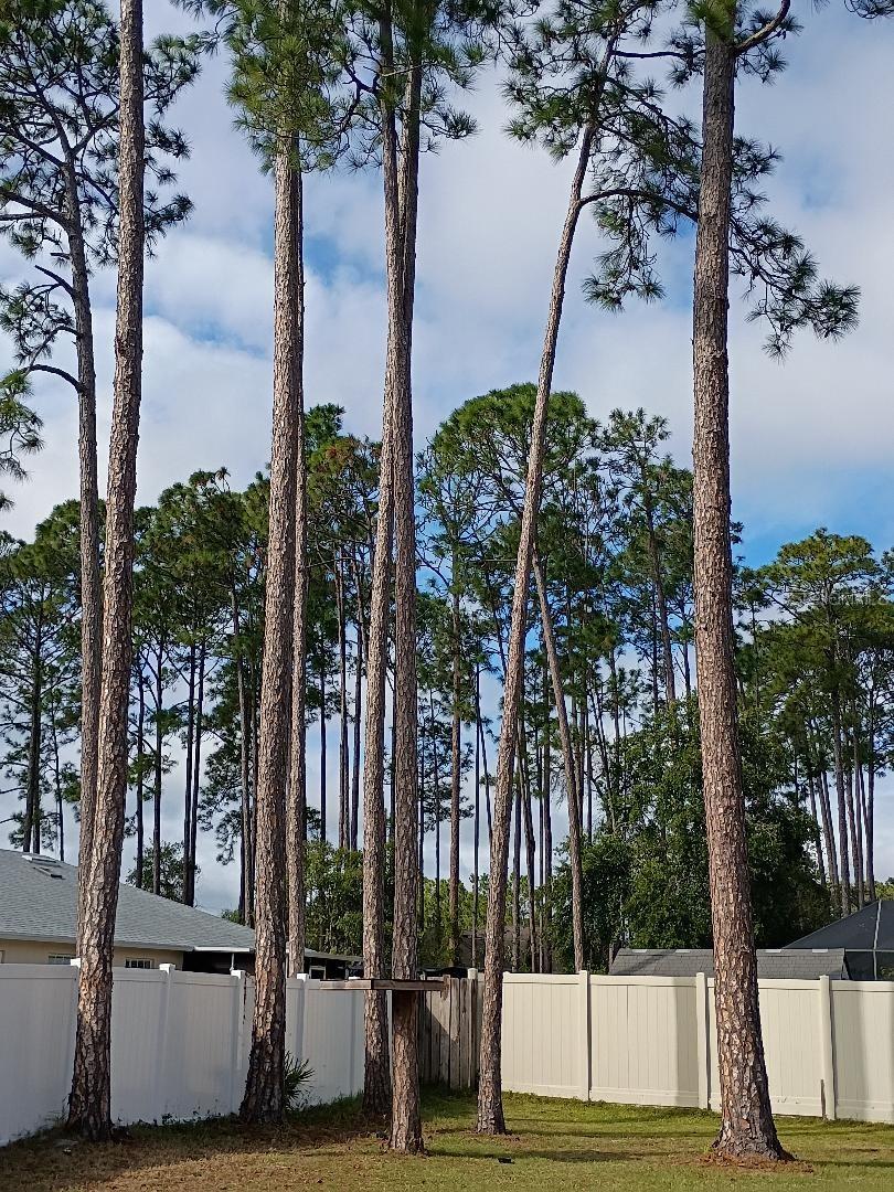 Listing photo id 17 for 218 Boulder Rock Drive