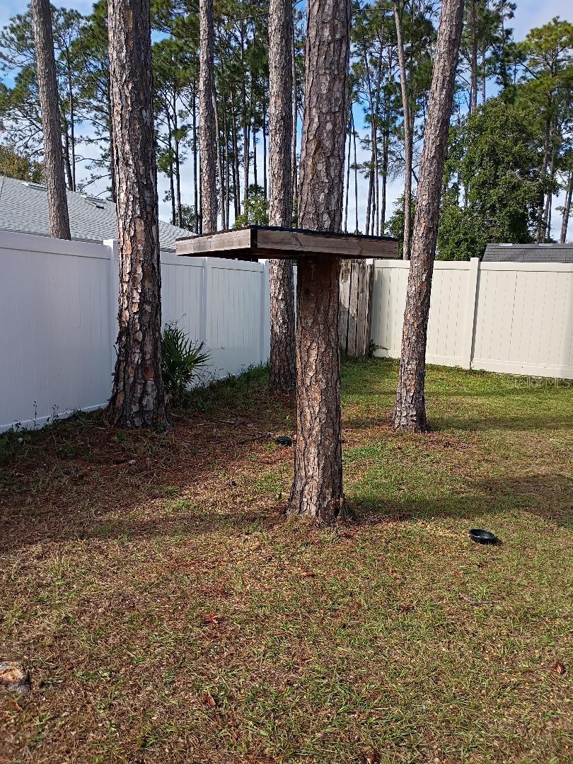 Listing photo id 19 for 218 Boulder Rock Drive