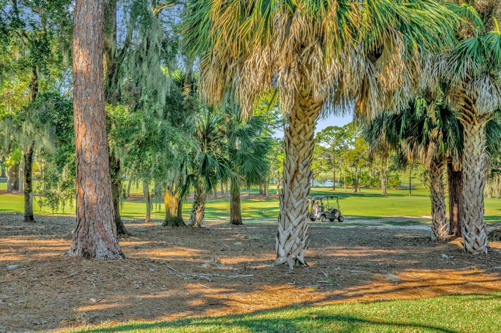 Image 18 of 23 For 202 Camino Real Boulevard 202