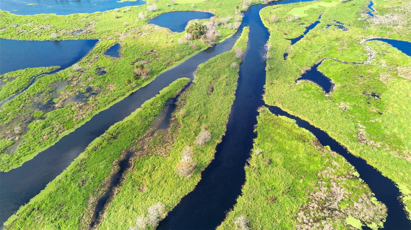 Image 17 of 22 For  No Name  