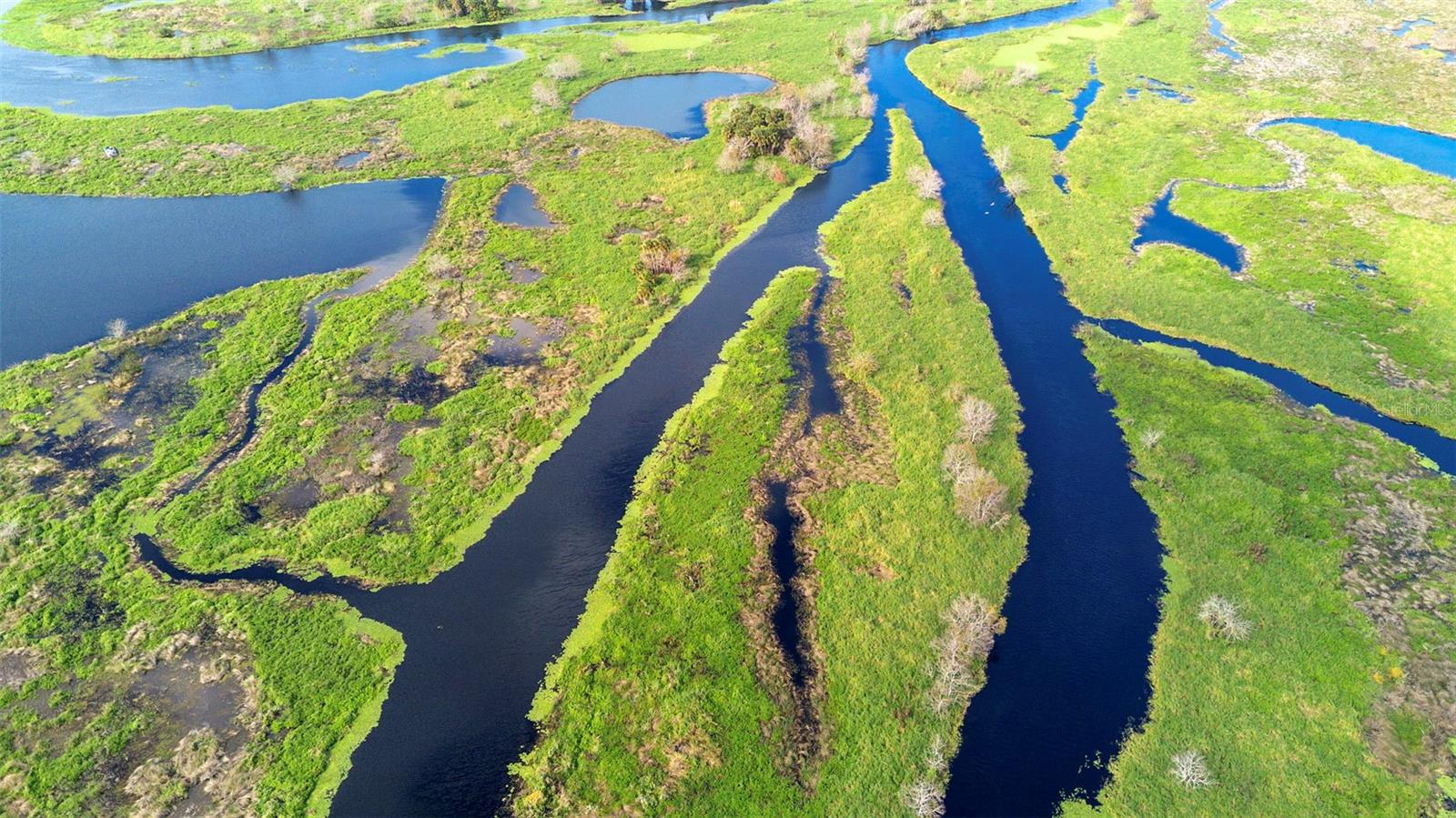 Image 18 of 22 For  No Name  