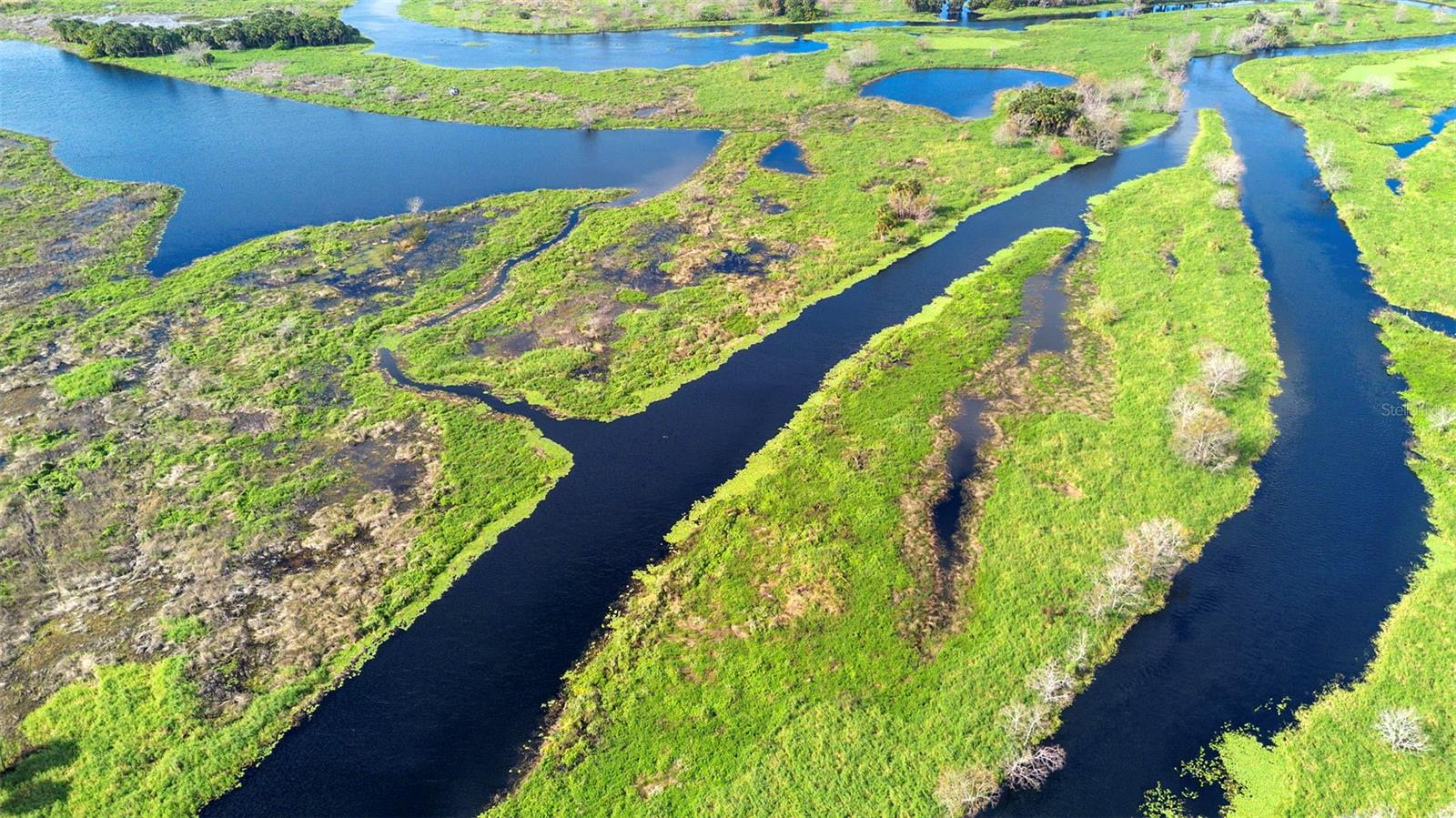 Image 20 of 22 For  No Name  