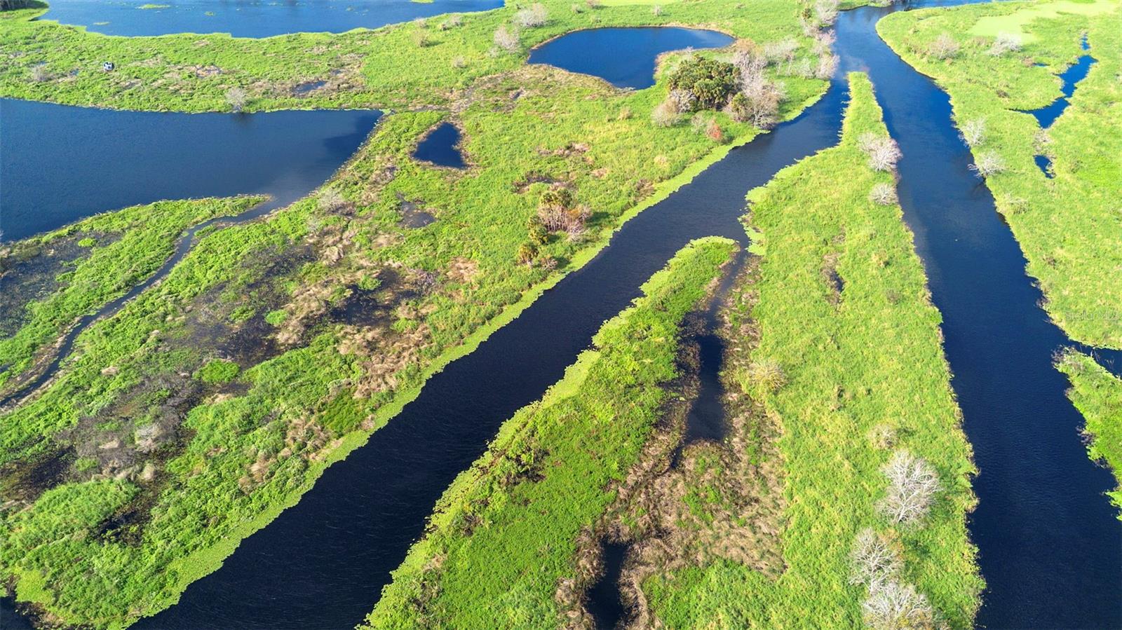 Image 21 of 22 For  No Name  