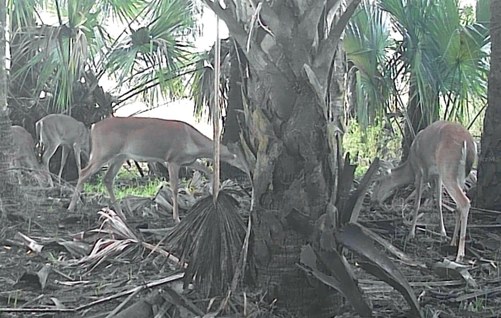 Image 22 of 22 For  No Name  