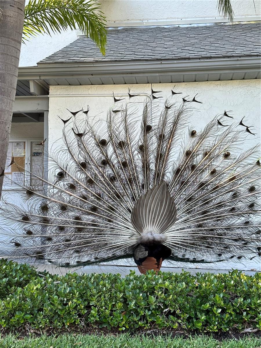 Image 18 of 32 For 500 Beach Park Lane V209