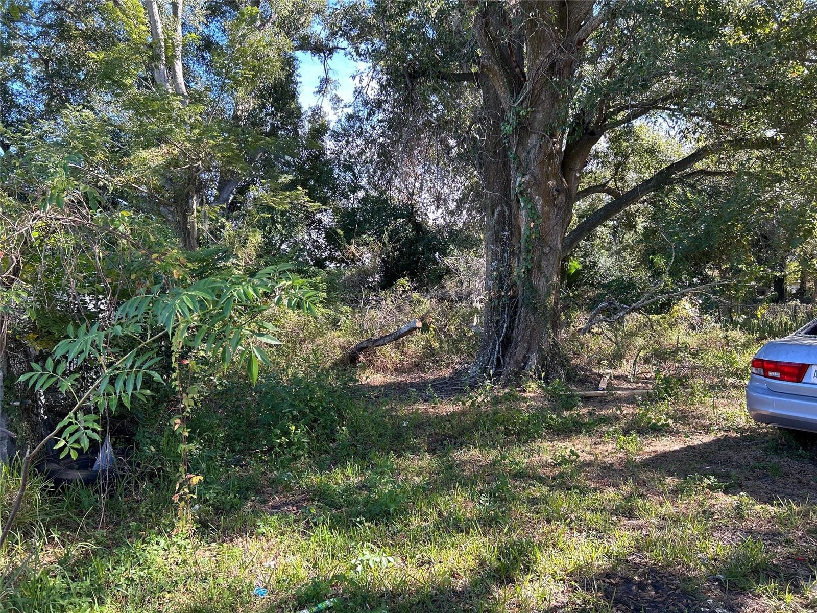 Image 2 of 6 For 621 Westdale Avenue