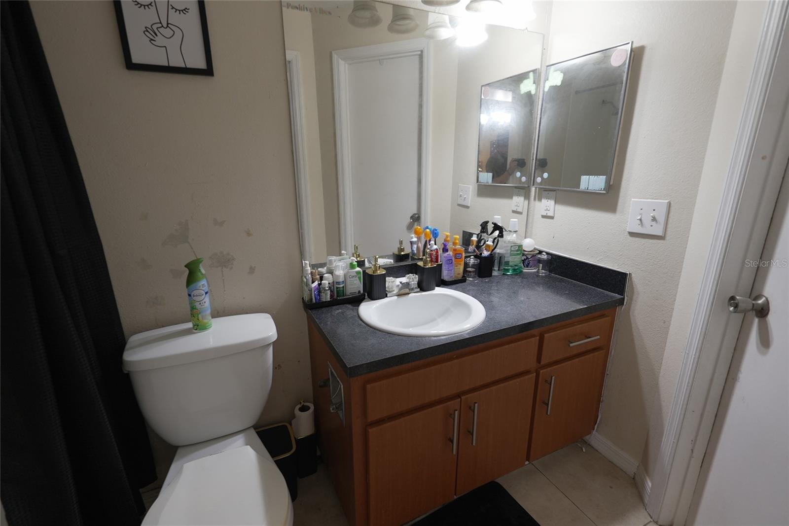 Image 13 of 20 For 409 Fountainhead Circle 236