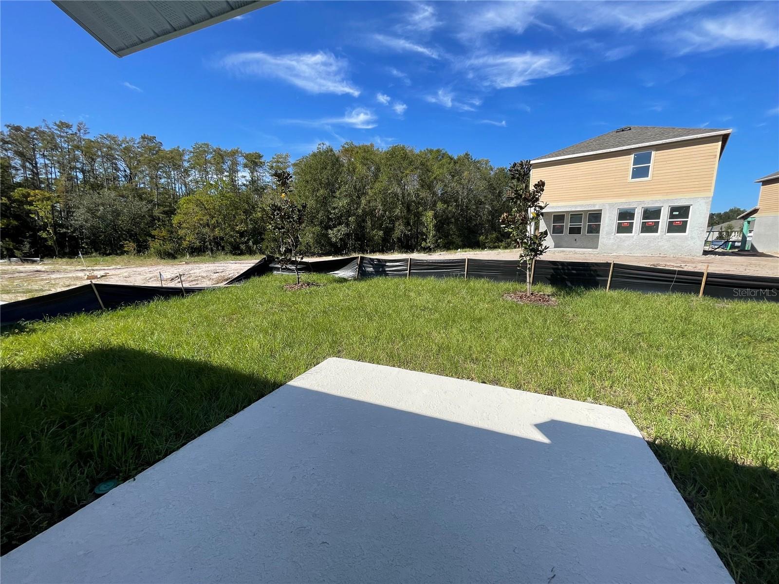 Image 24 of 31 For 4343 Twisted Twig Bend