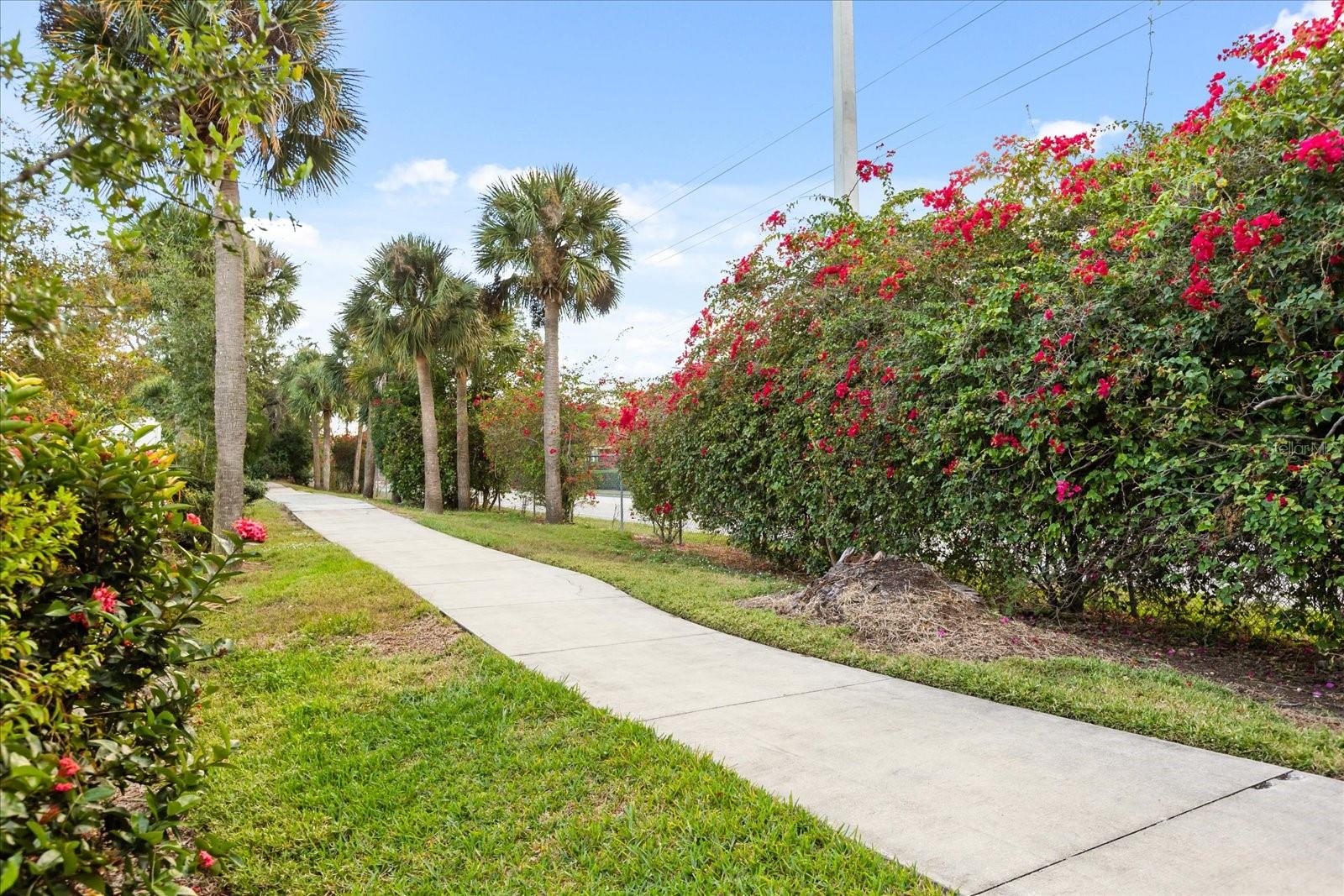 Image 29 of 39 For 2674 Shadybranch Drive