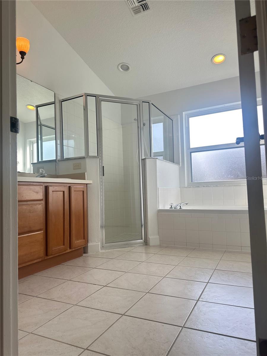 Image 5 of 9 For 4157 Bald Eagle