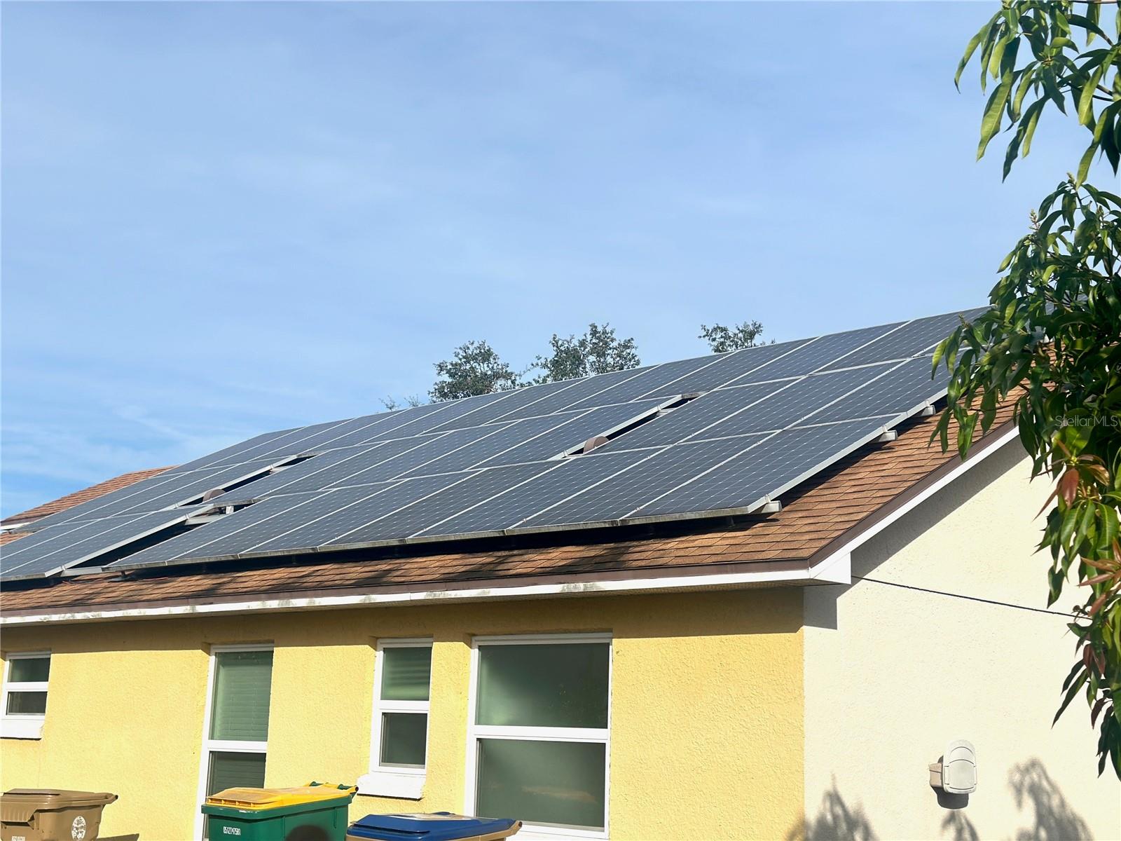 Image 7 of 9 For 4157 Bald Eagle