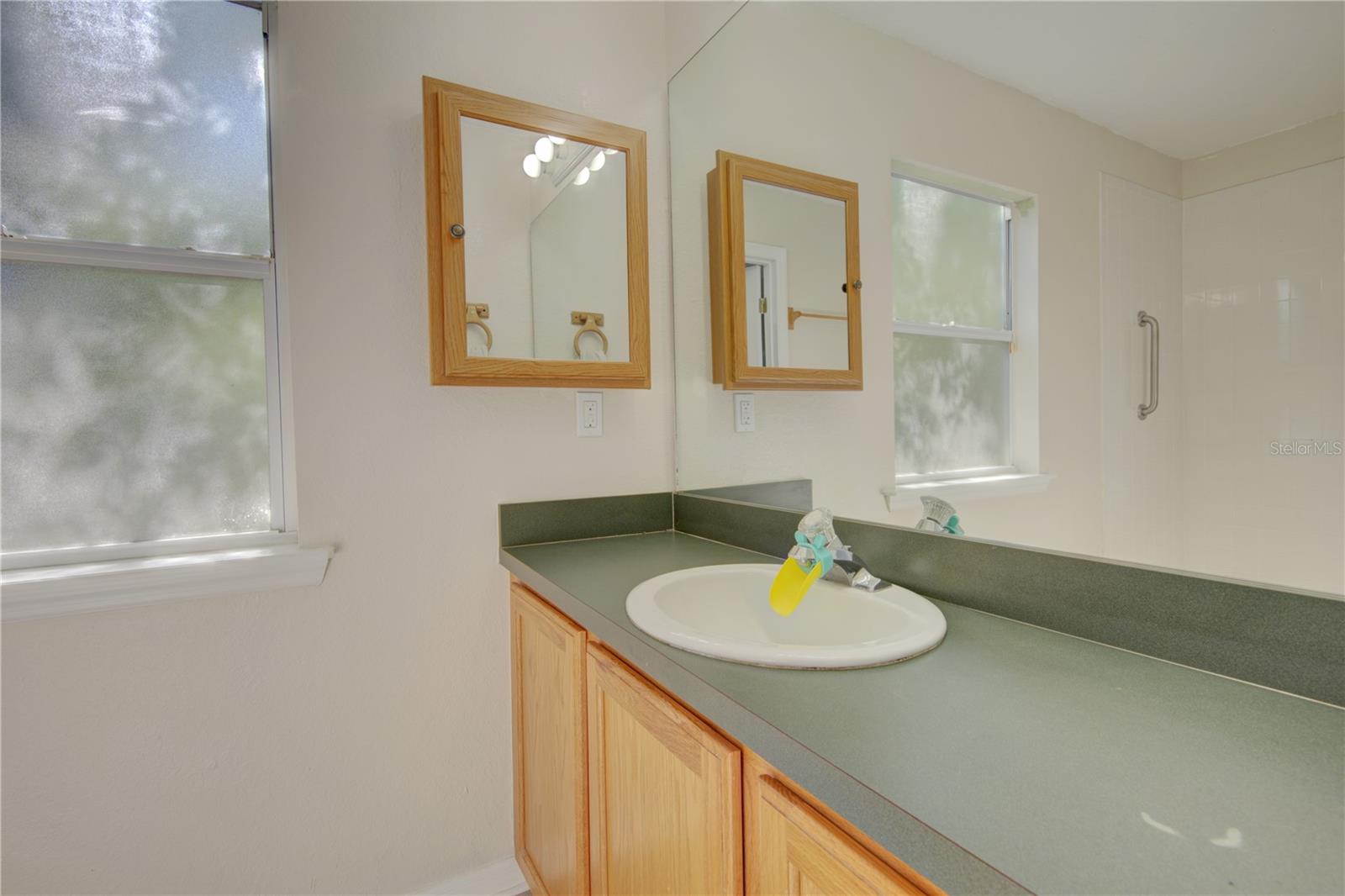 Image 23 of 54 For 4144 Pelee Street