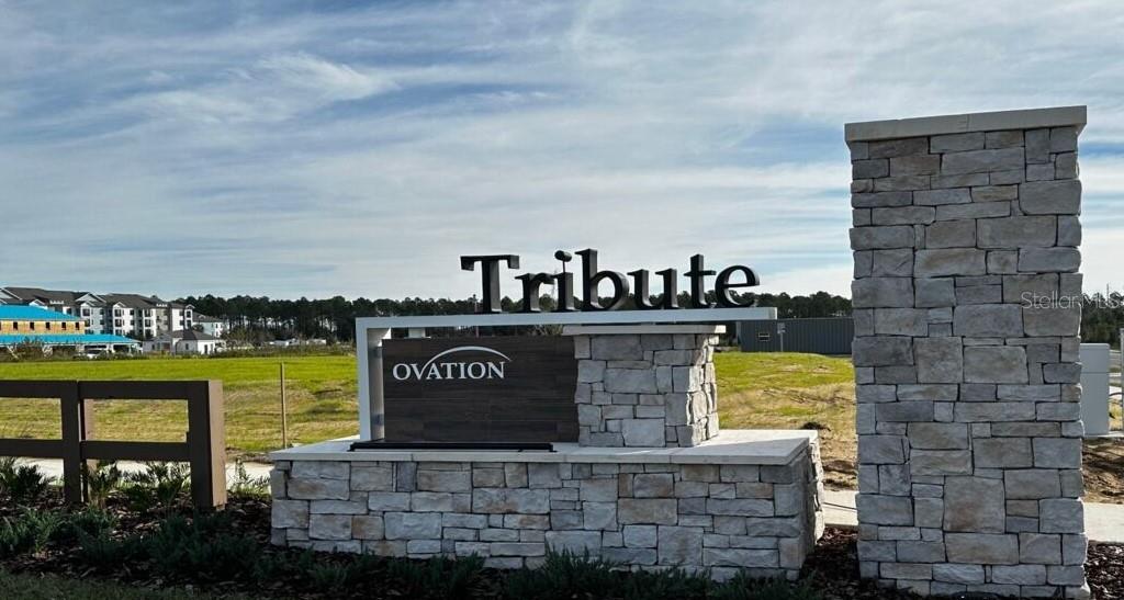Image 22 of 29 For 15236 Tribute Ovation Way