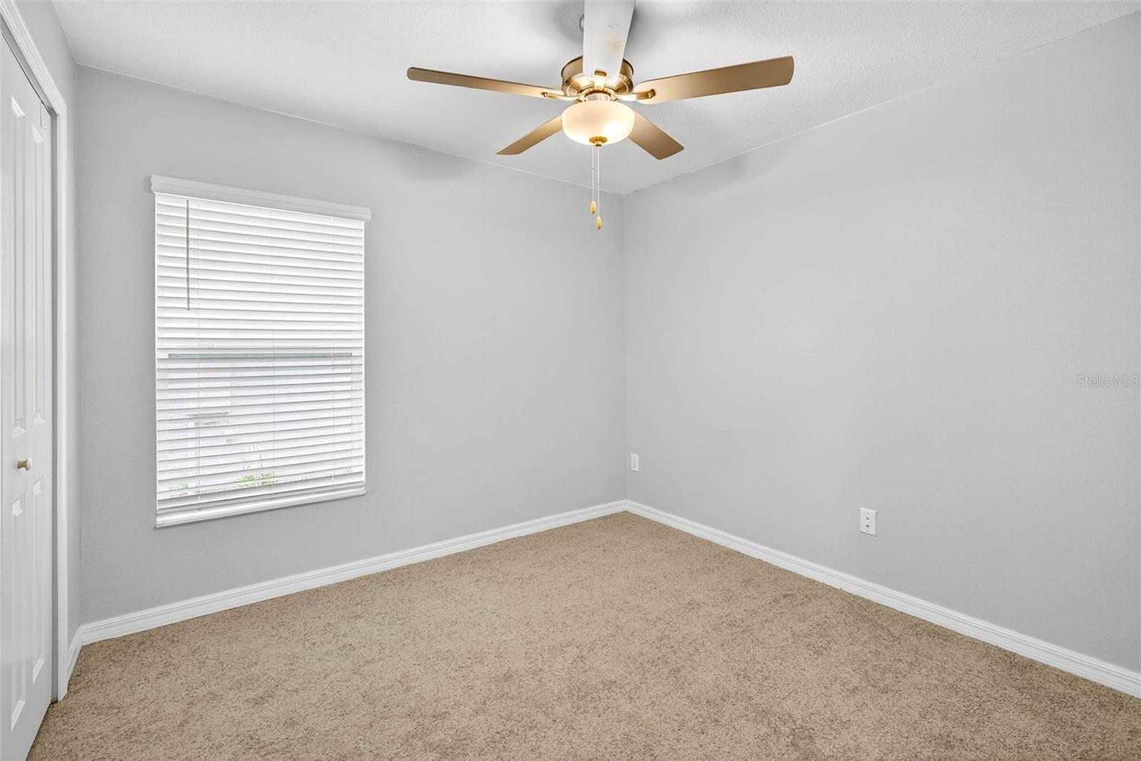 Image 17 of 37 For 9907 Branching Ship Trace