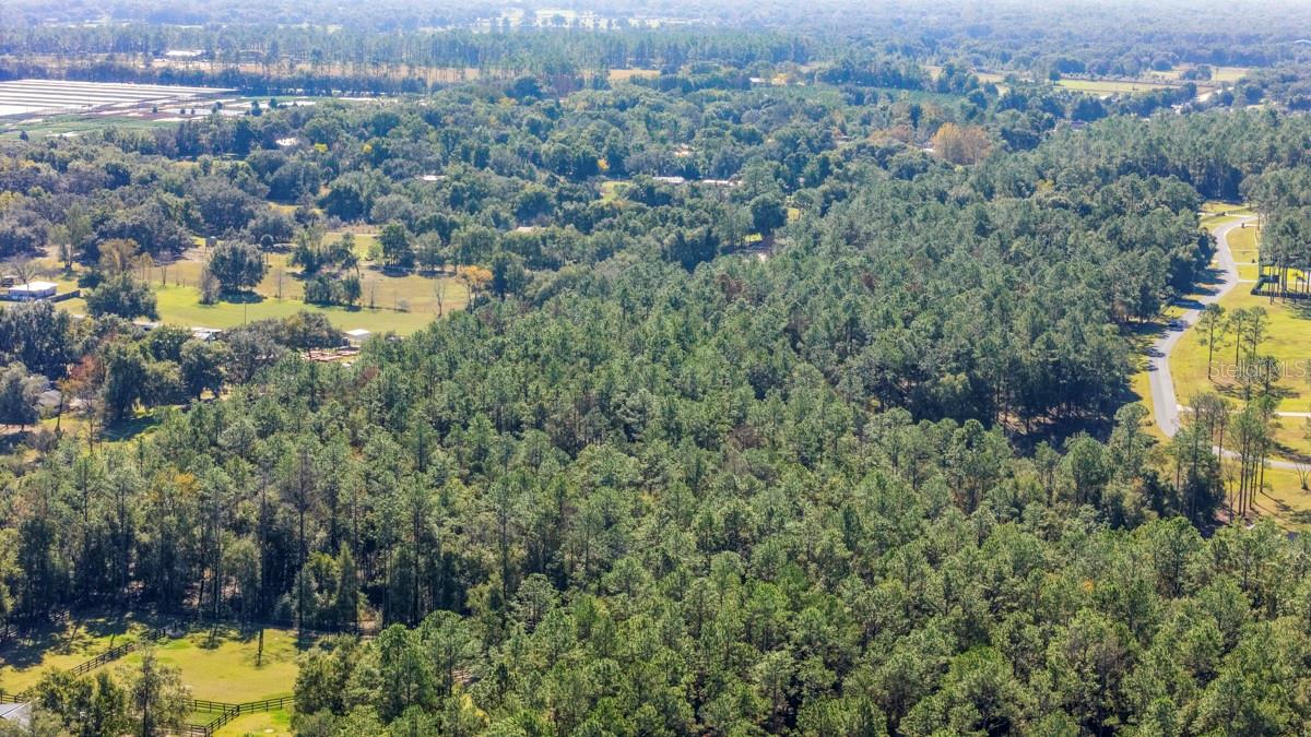 Image 10 of 10 For 24250 Deep Springs Loop