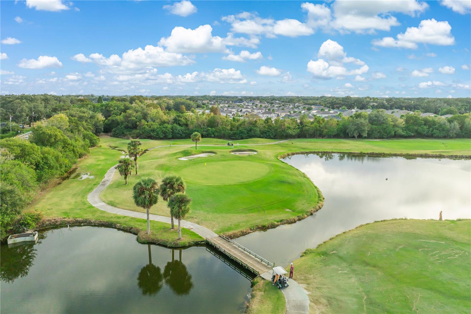 Image 58 of 74 For 229 Strathmore Circle