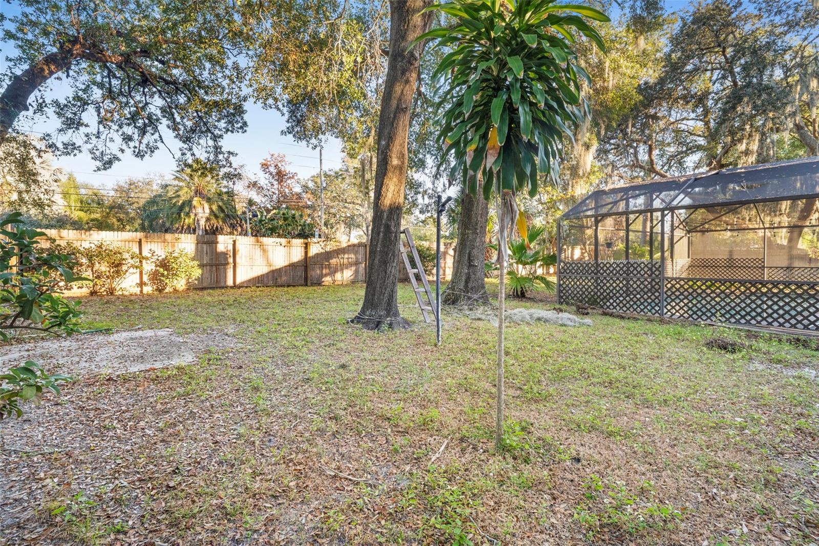 Image 36 of 41 For 8315 Camphor Tree Drive