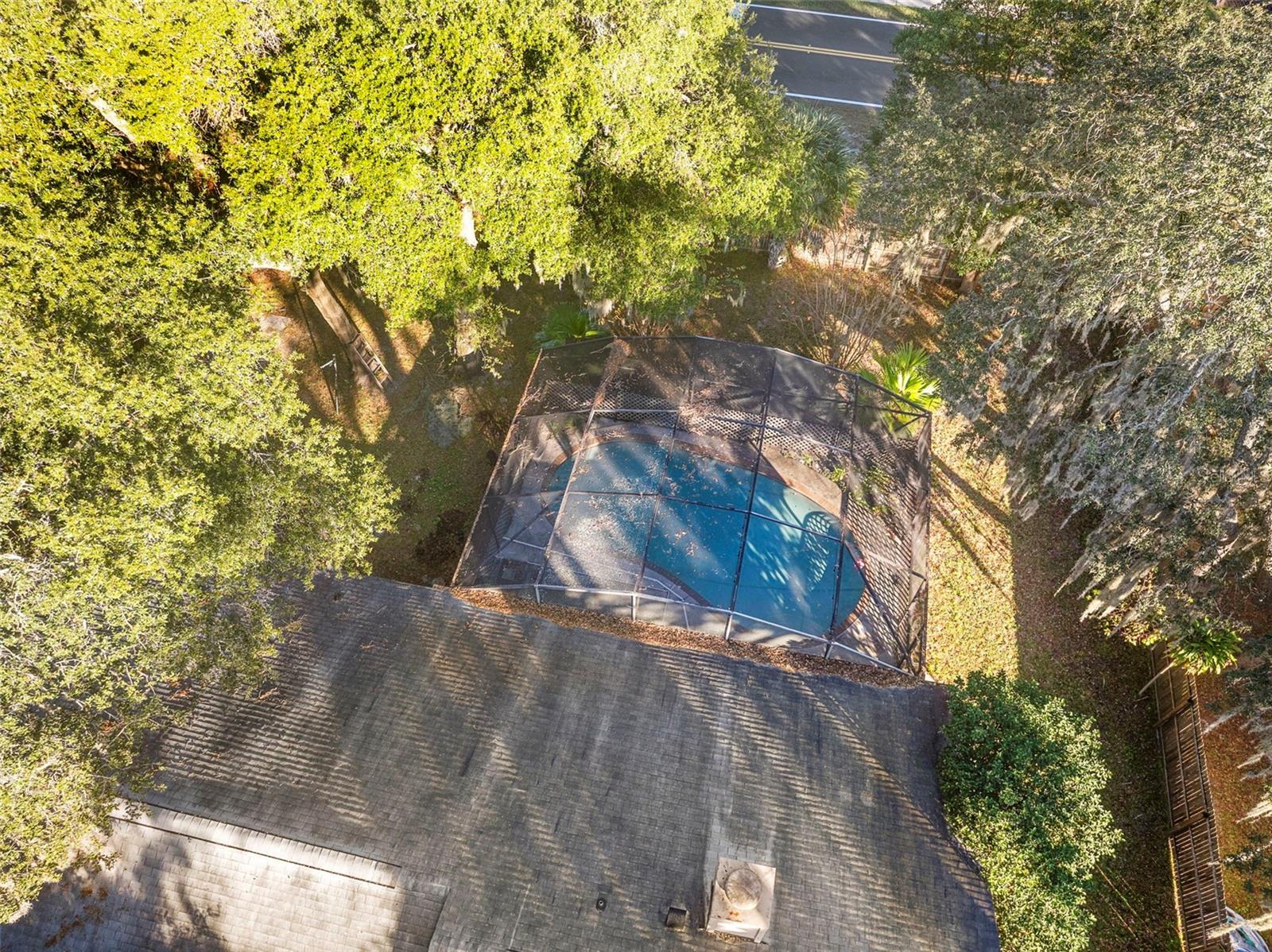 Image 38 of 41 For 8315 Camphor Tree Drive