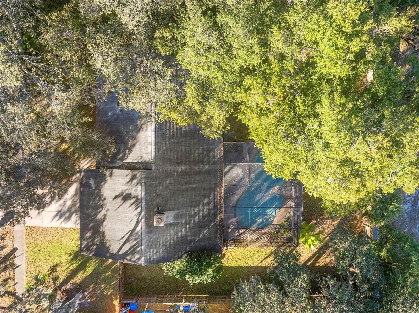 Image 40 of 41 For 8315 Camphor Tree Drive