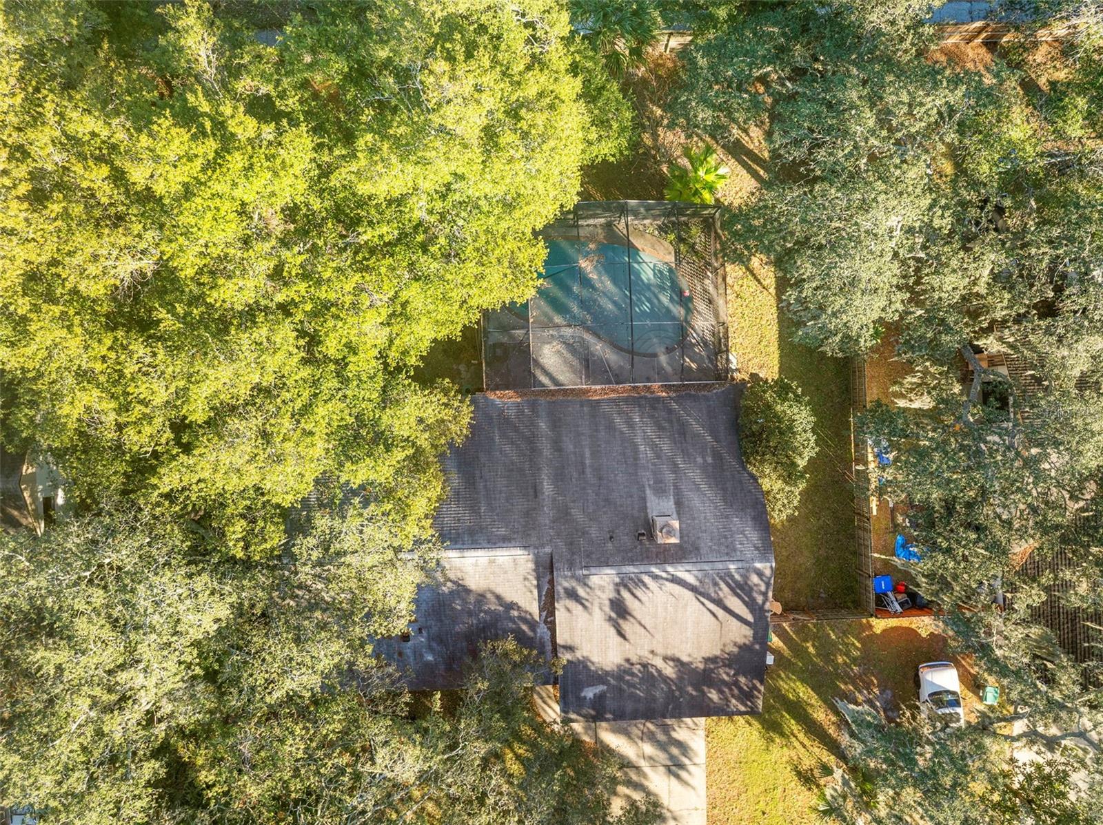 Image 41 of 41 For 8315 Camphor Tree Drive