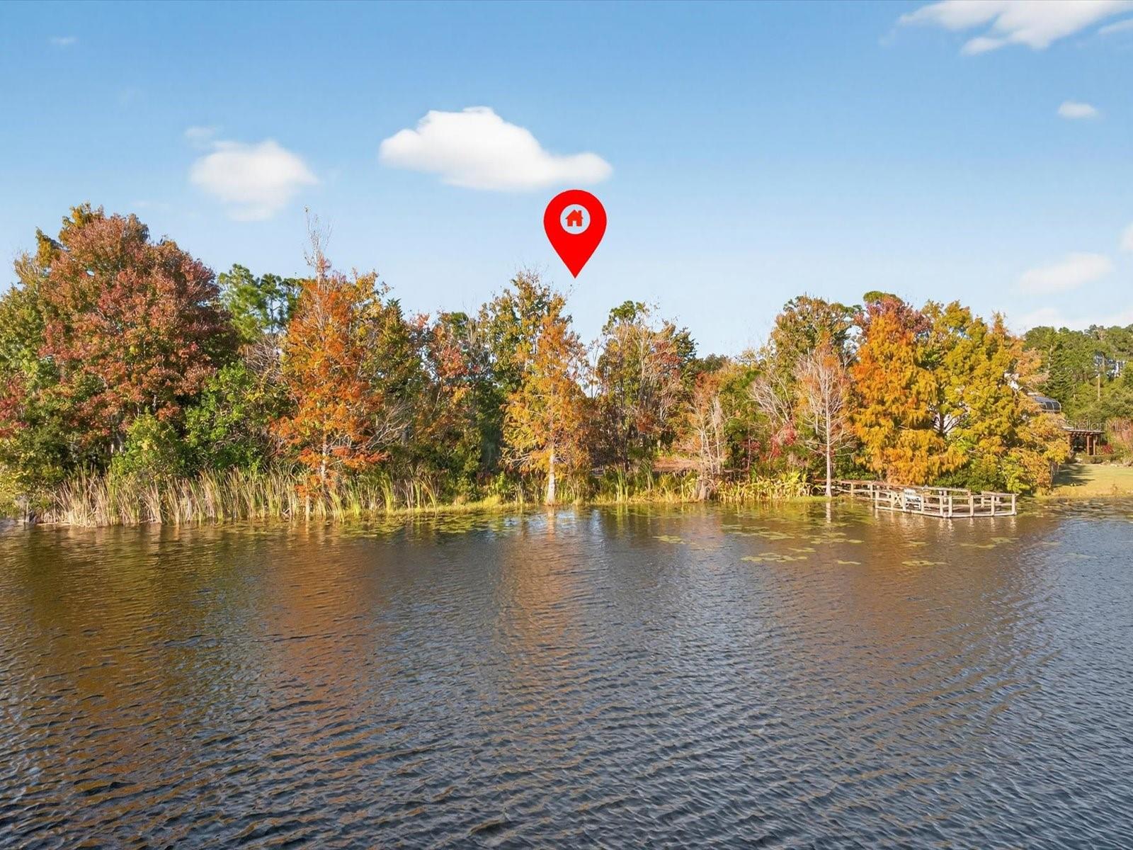 Image 16 of 16 For 9222 Charles E Limpus Road