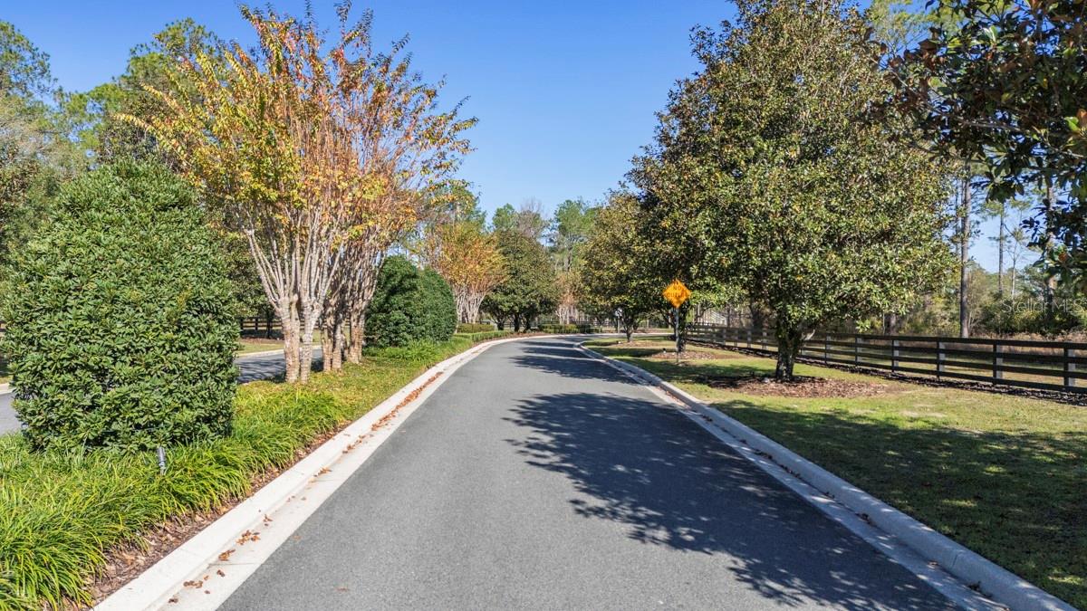 Image 4 of 10 For 24238 Deep Springs Loop