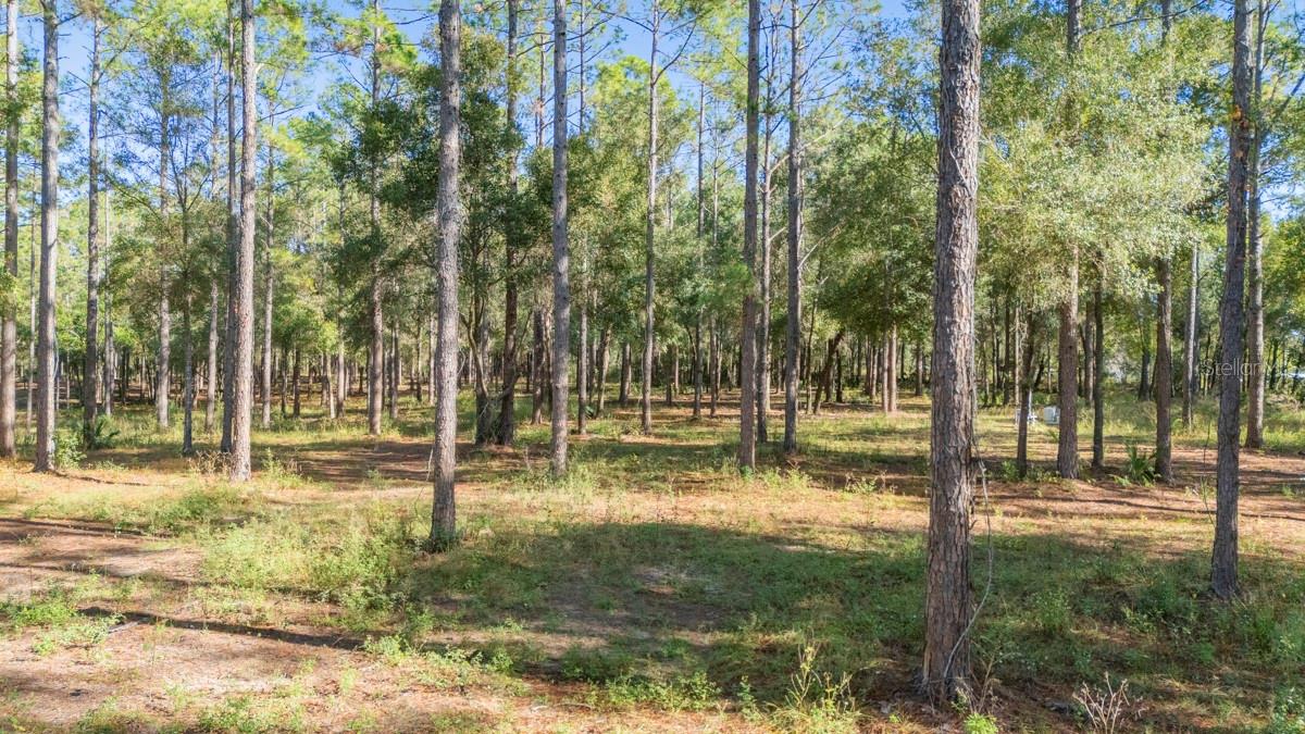 Image 6 of 10 For 24238 Deep Springs Loop