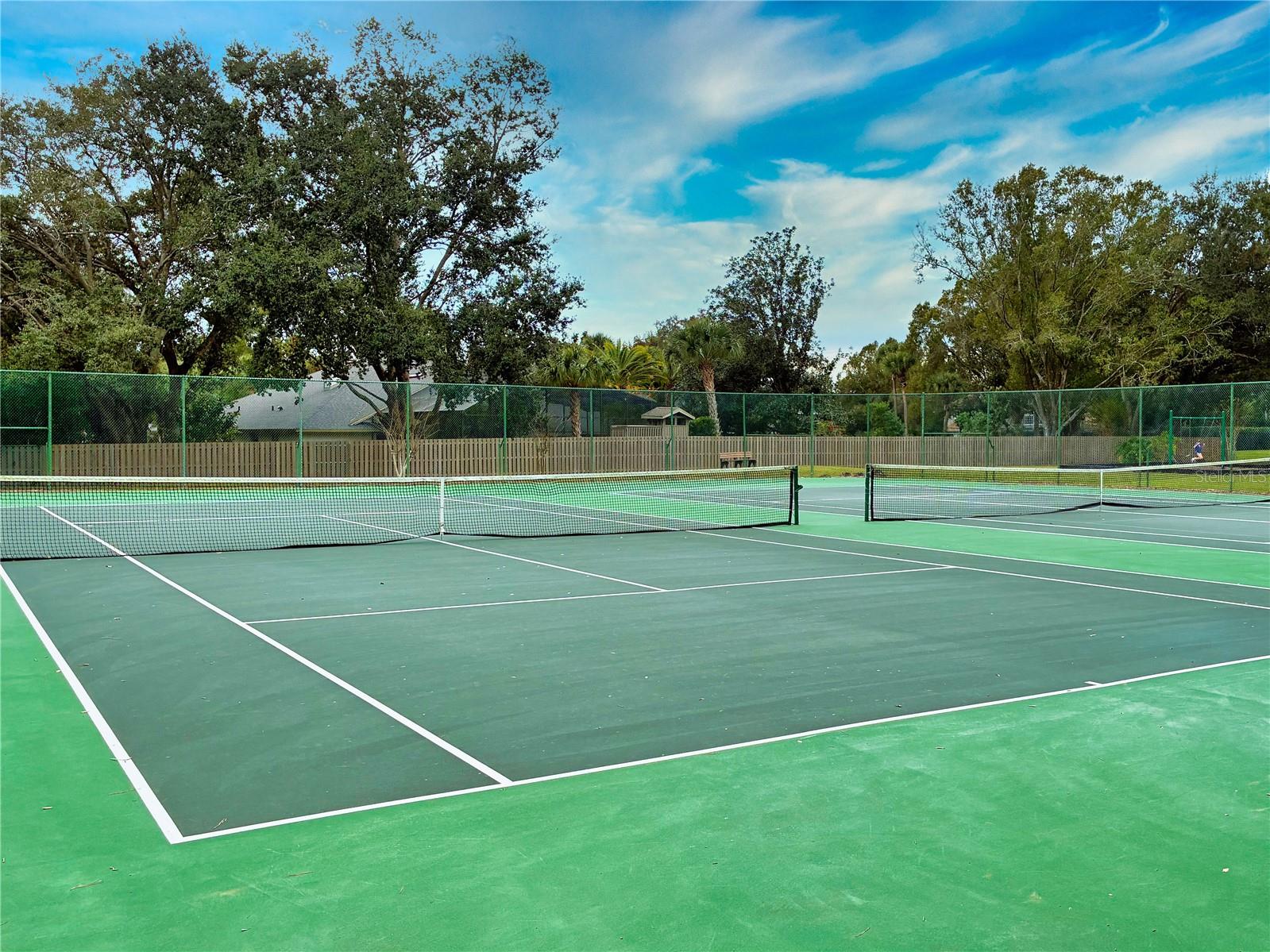 Image 58 of 60 For 10442 Birch Tree Lane