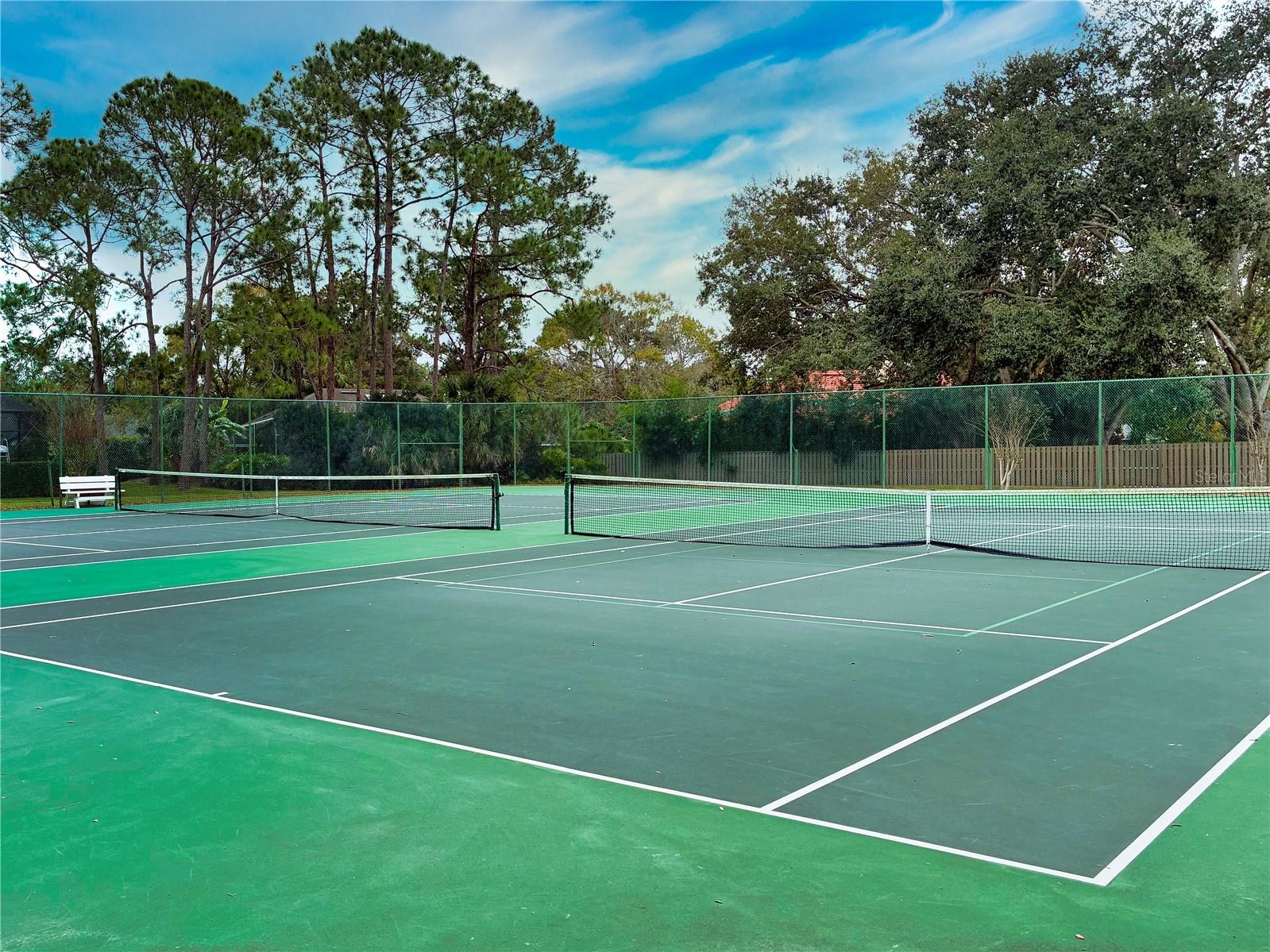 Image 59 of 60 For 10442 Birch Tree Lane