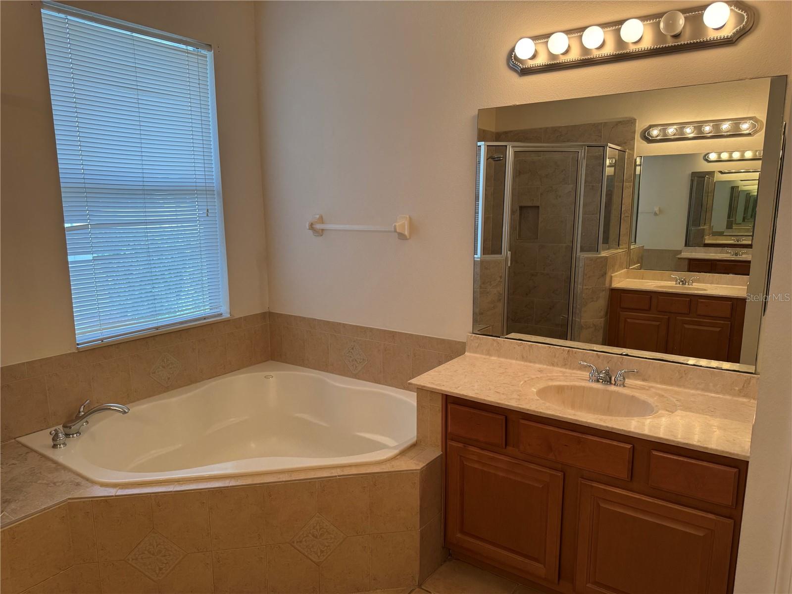 Image 33 of 37 For 9301 Mustard Leaf Drive