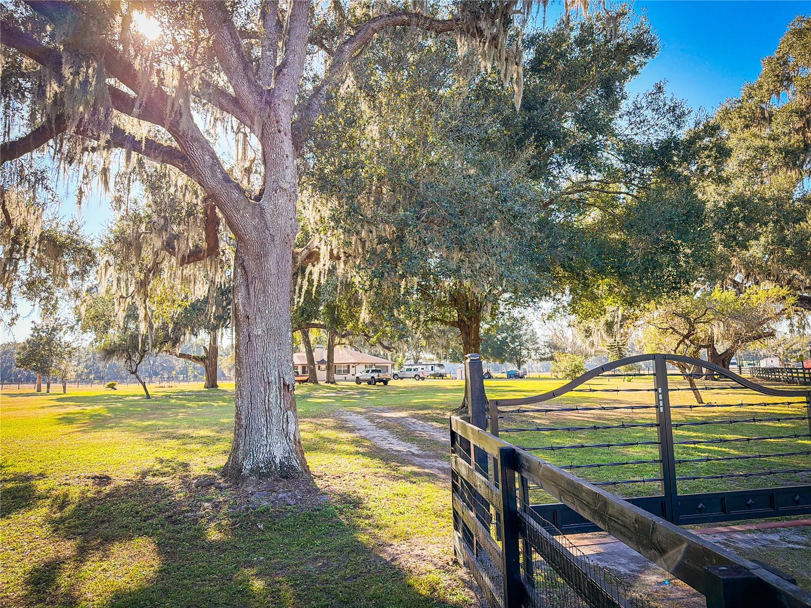 Image 2 of 28 For 1199 Cr 542g