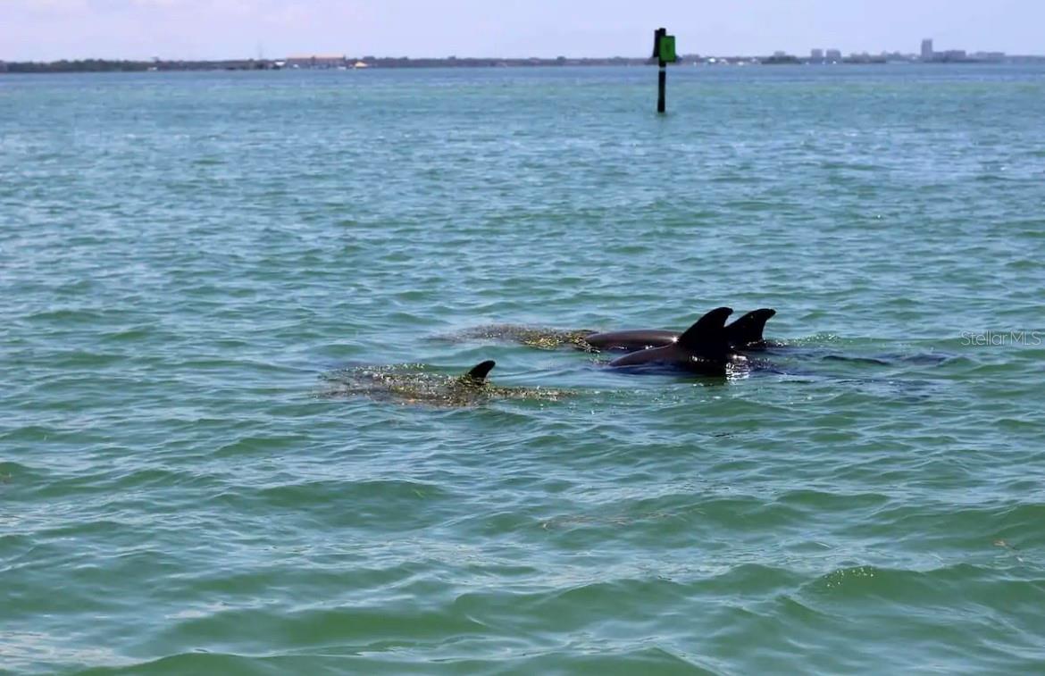 Image 27 of 30 For 2 Causeway Boulevard 101