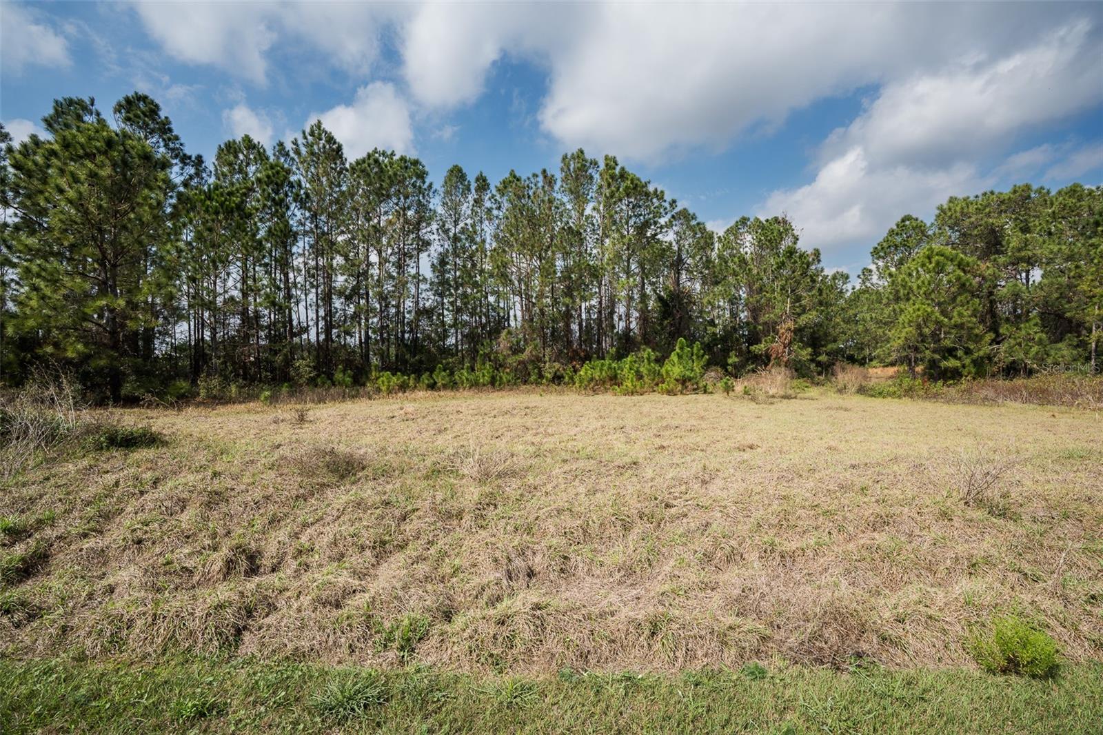 Image 5 of 24 For 11031 Arrowtree Boulevard