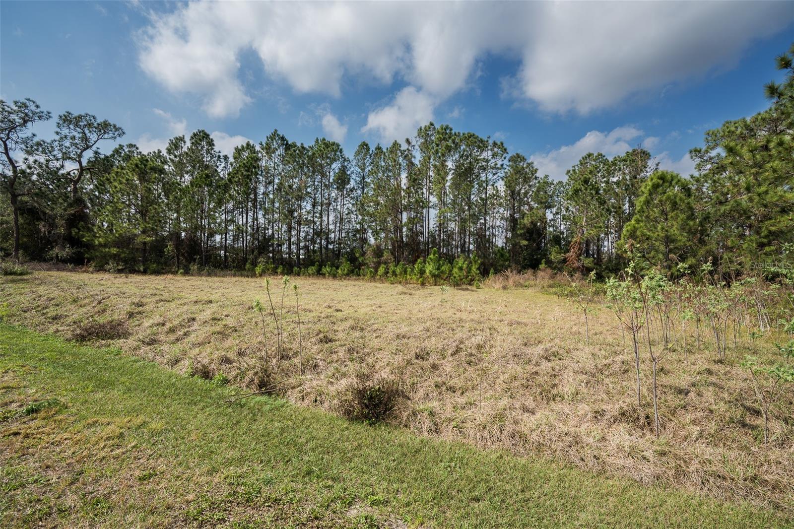 Image 6 of 24 For 11031 Arrowtree Boulevard