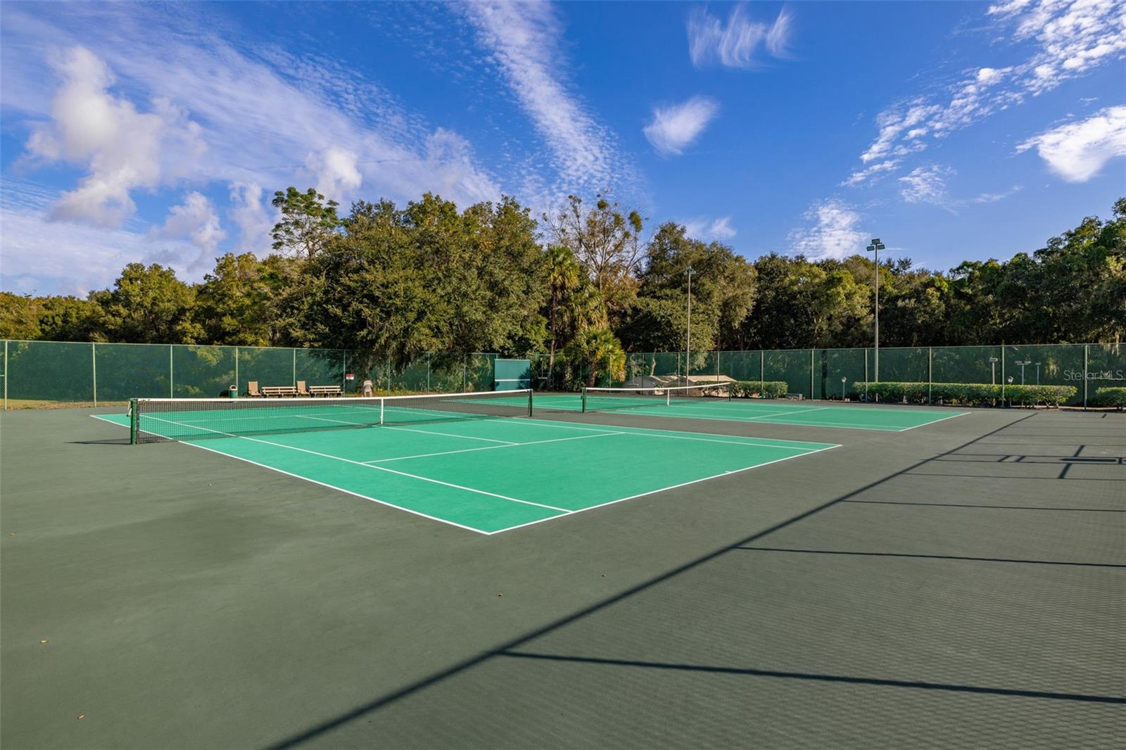 Image 54 of 73 For 2118 Canopy Circle