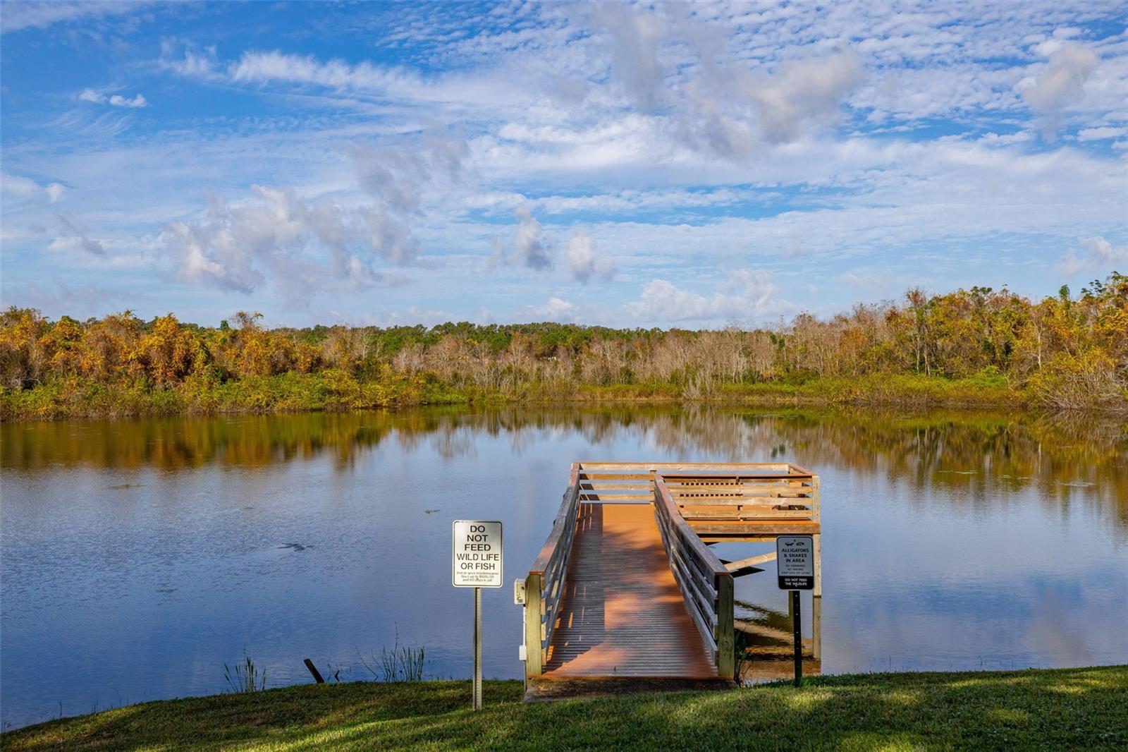 Image 56 of 73 For 2118 Canopy Circle