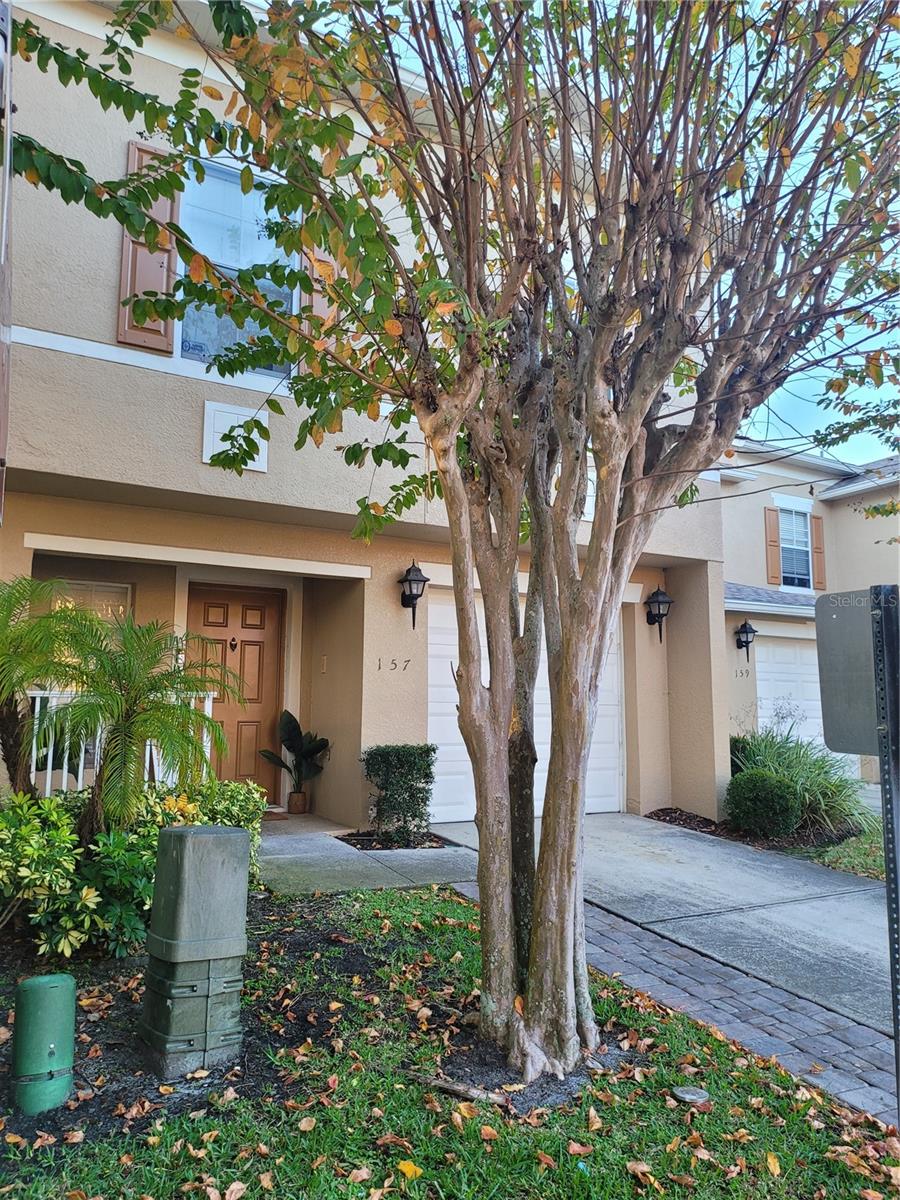 Details for 157 Sterling Springs Lane, ALTAMONTE SPRINGS, FL 32714