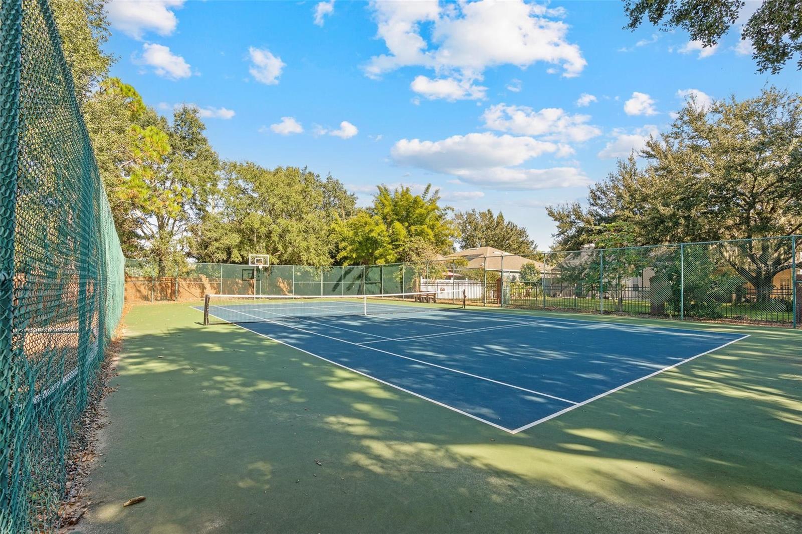 Image 32 of 32 For 717 Strihal Loop